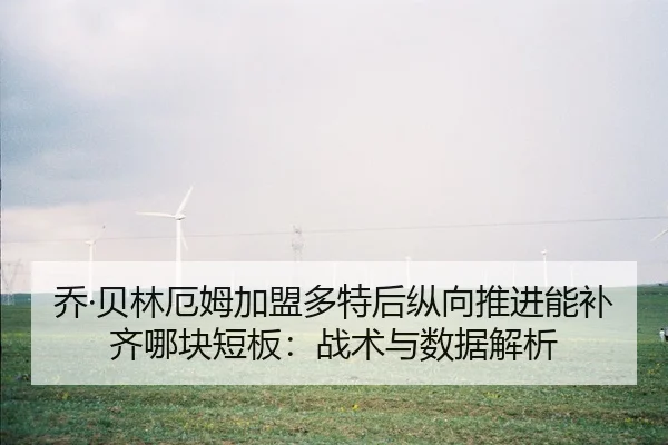 qiao-bei-lin-e-mu-jia-meng-duo-te-hou-zong-xiang-tui-jin-neng-bu-qi-na-kuai-duan-ban-zhan-shu-yu-shu-ju-jie-xi-2-829.jpg